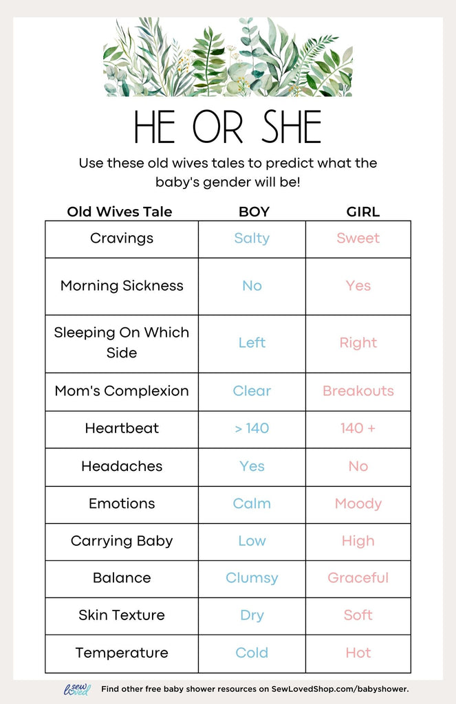 Baby Shower Game: Guess the Baby's Gender